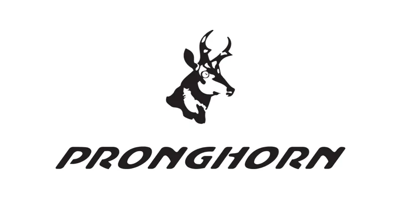 Pronghorn